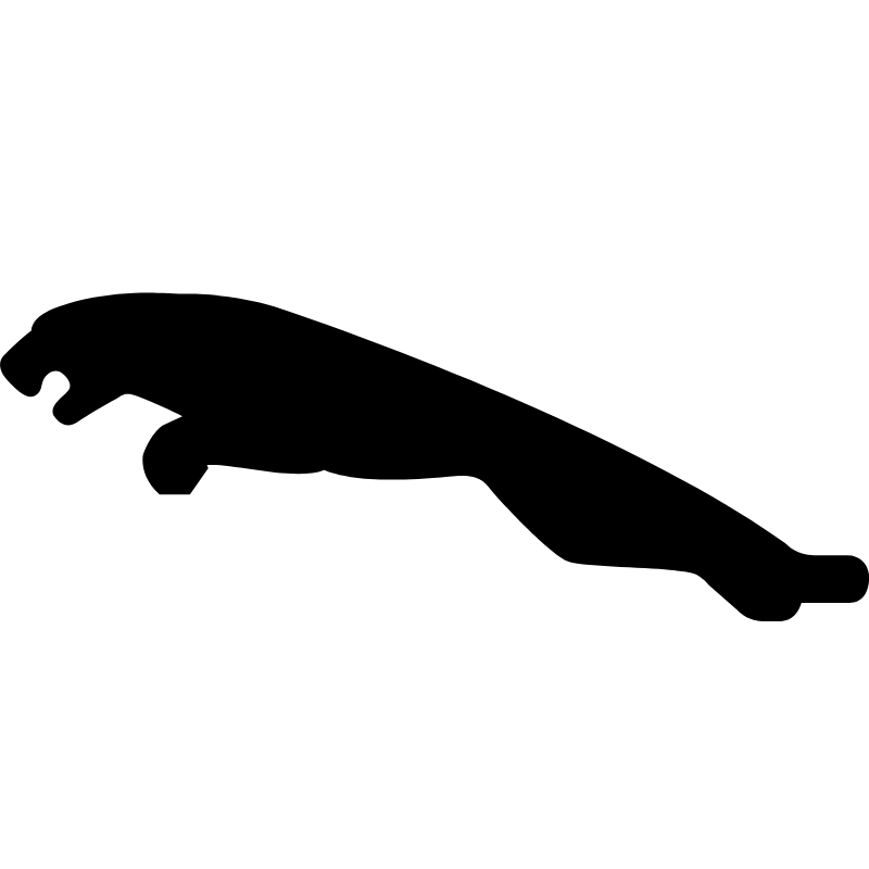 Jaguar Logo
